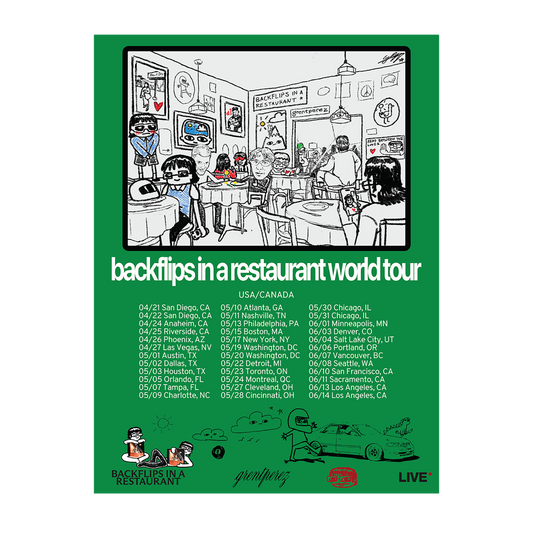BACKFLIPS IN A RESTAURANT WORLD TOUR POSTER